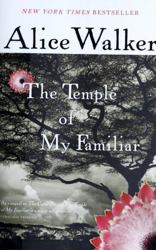 Alice Walker: The temple of my familiar (2010, Mariner Books)