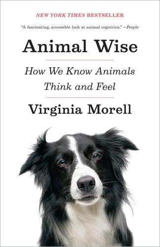 Virginia Morell: Animal wise (2013)