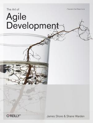 James Shore: The Art of Agile Development (2008)