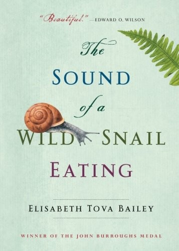 Elisabeth Tova Bailey: The Sound of a Wild Snail Eating (Paperback, Algonquin Books, Algonquin Books of Chapel Hill)