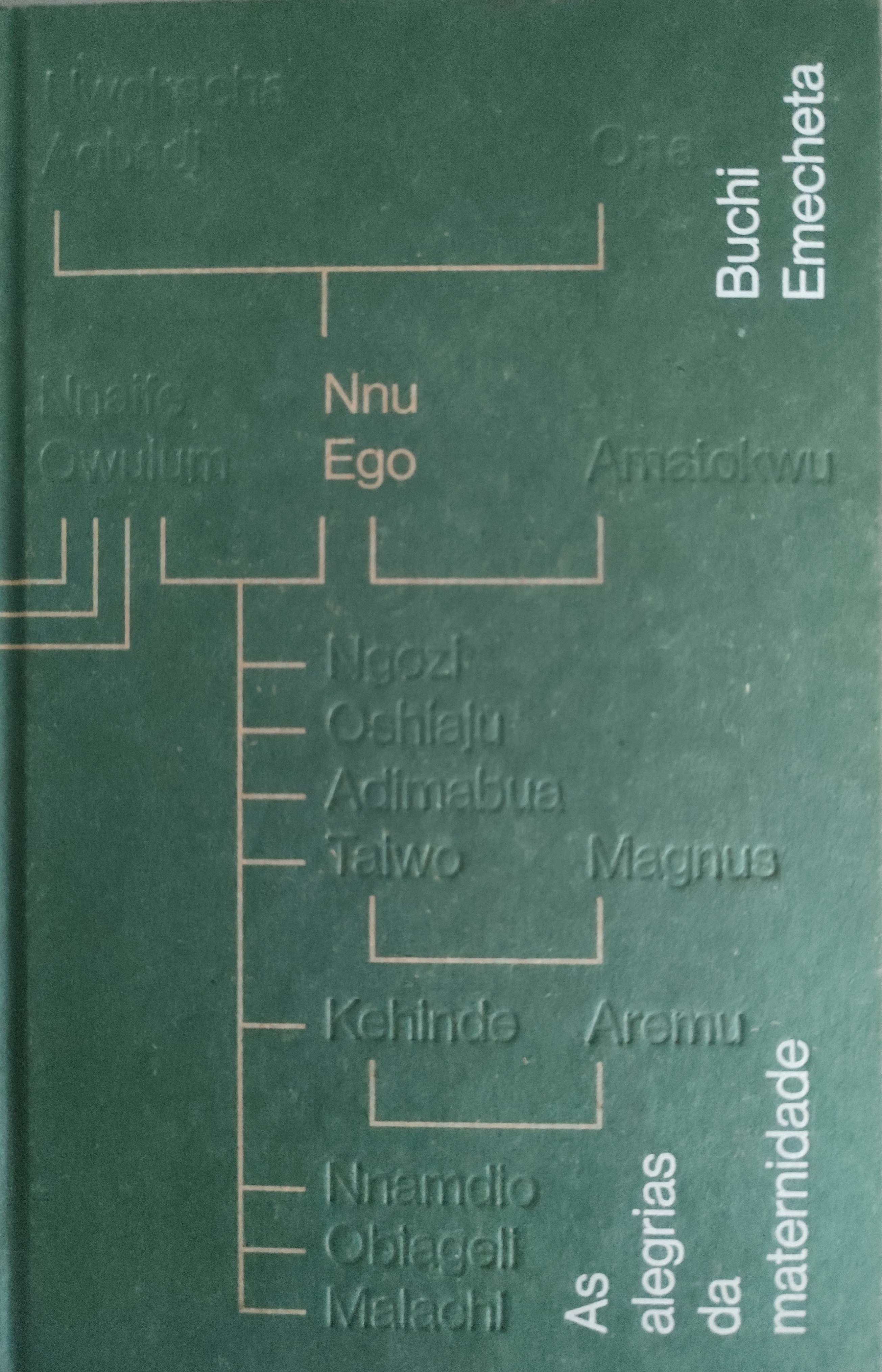 Buchi Emecheta: As alegrias da maternidade (Hardcover, Português brasileiro language, 2017, Dublinense)