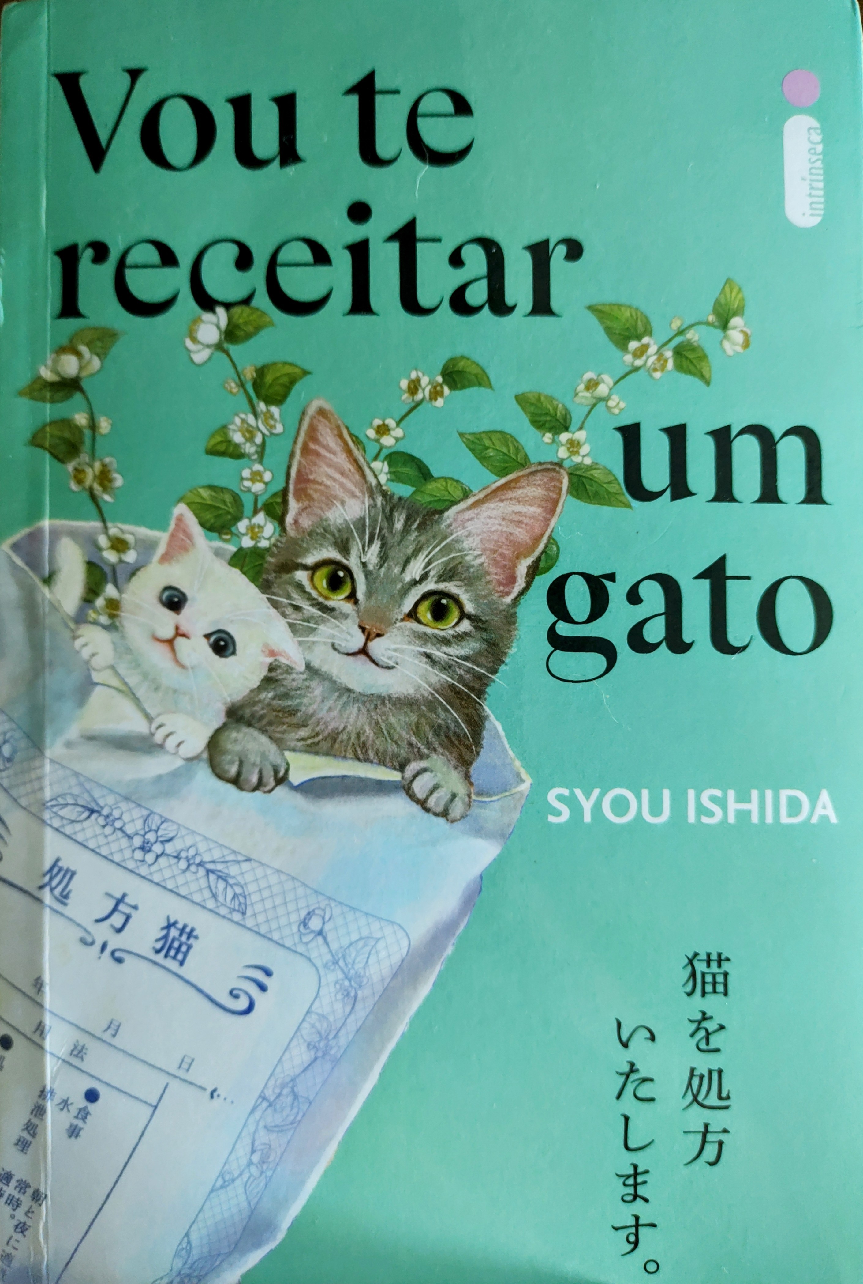Syou Ishida: Vou te receitar um gato (Paperback, Português brasileiro language, 2024, Intrínseca)