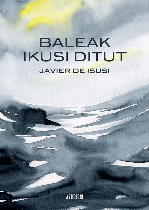 Luciano Saracino-Javier de Isusi: Baleak ikusi ditut (Basque language, 2014, Astiberri Ediciones)