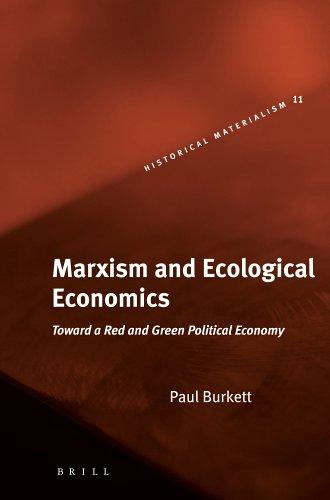 Paul Burkett: Marxism and ecological economics (2006, Brill)