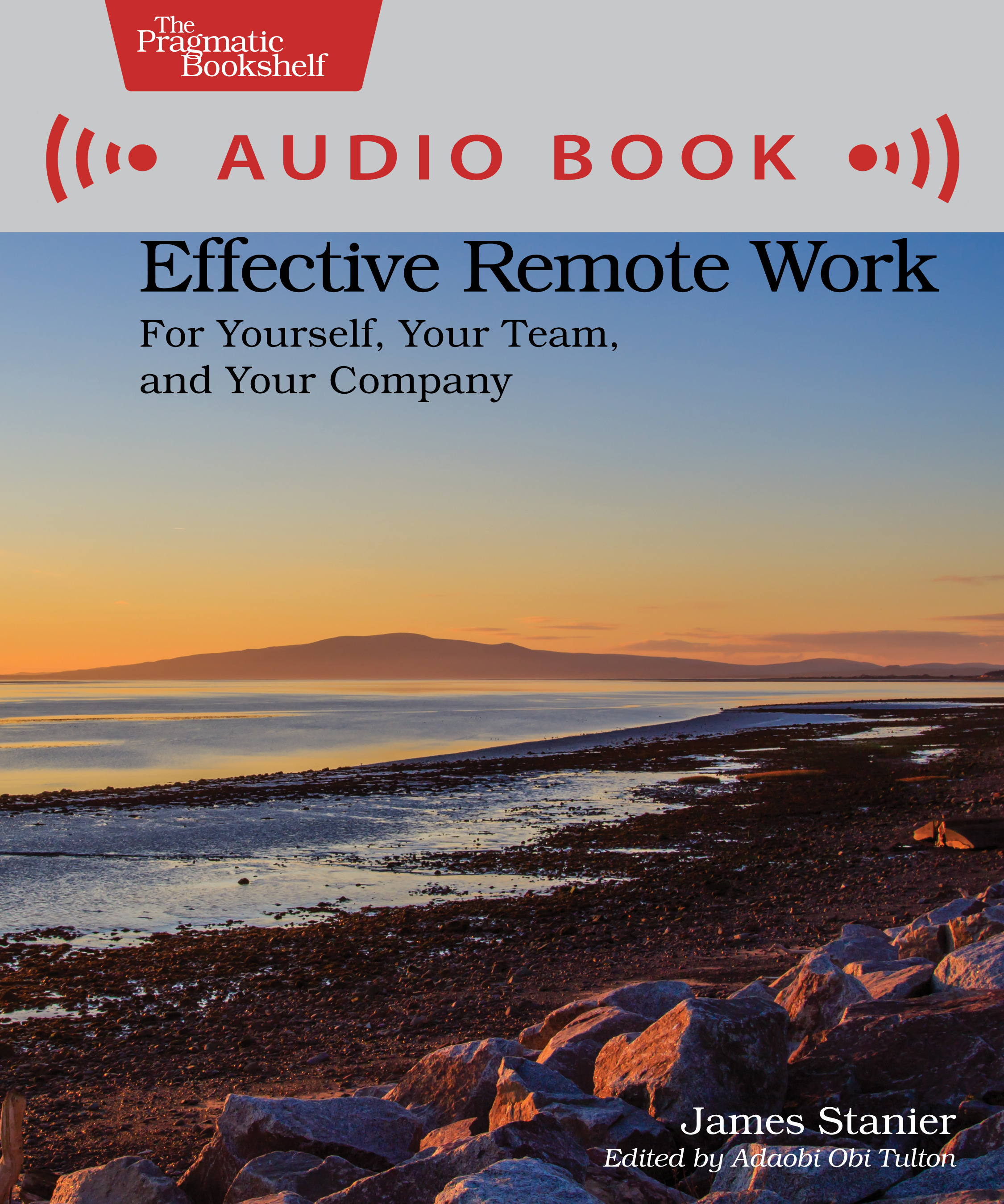 James Stanier: Effective Remote Work (AudiobookFormat, 2022, O'Reilly Media, Incorporated)