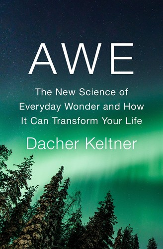 Dacher Keltner: Awe (Hardcover, 2023, Penguin Press)