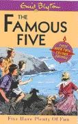 Enid Blyton: Five Have Plenty of Fun (Paperback, 2000, Hodder Children's)