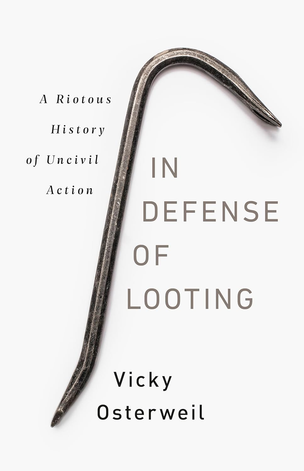 Vicky Osterweil: In Defense of Looting (Hardcover, 2020, Bold Type Books)